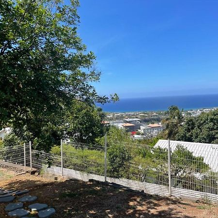 Charmant T2 Meuble Proche Chu Bellepierre Σαιν-Ντενί Εξωτερικό φωτογραφία